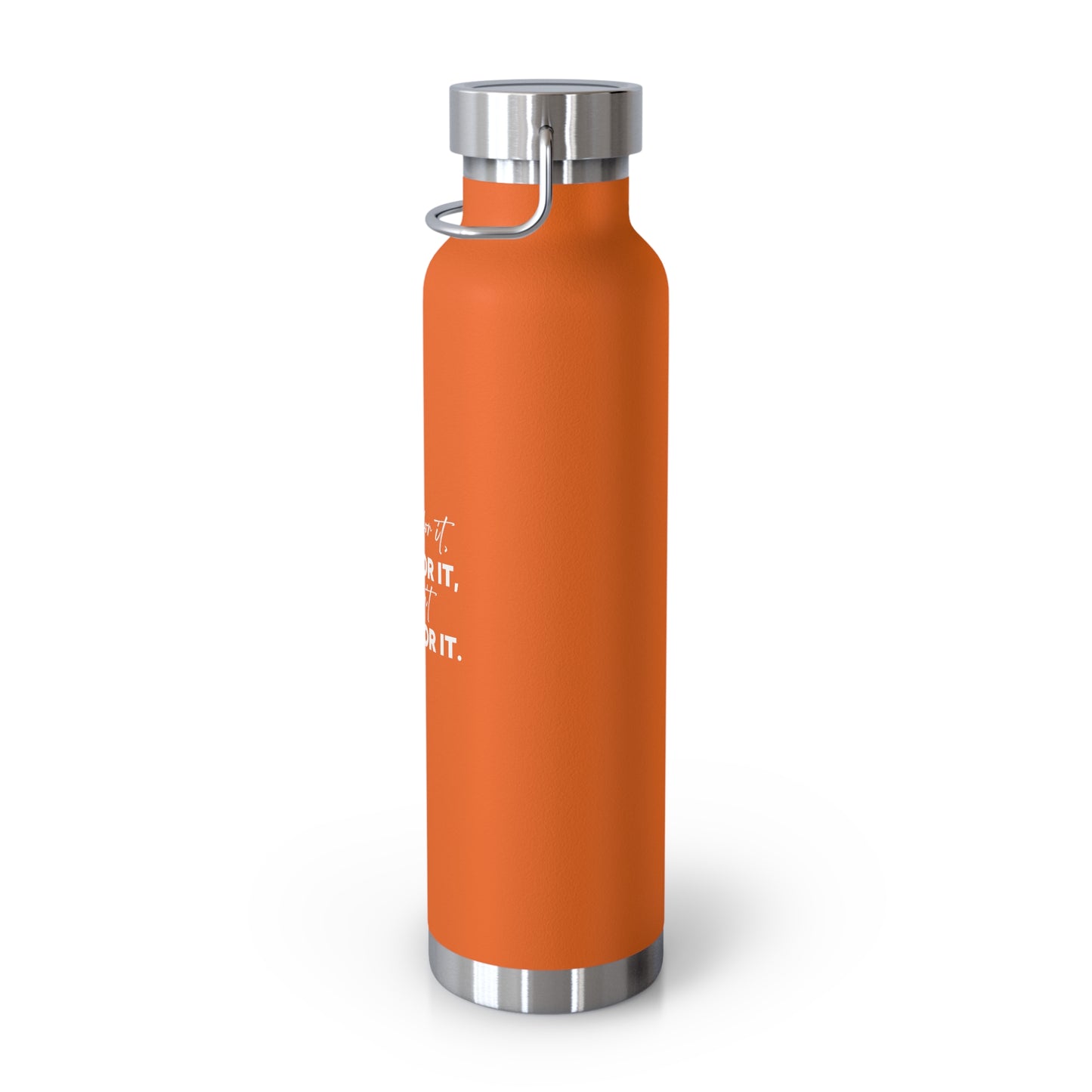 Vacuum Insulated Bottle, 22oz