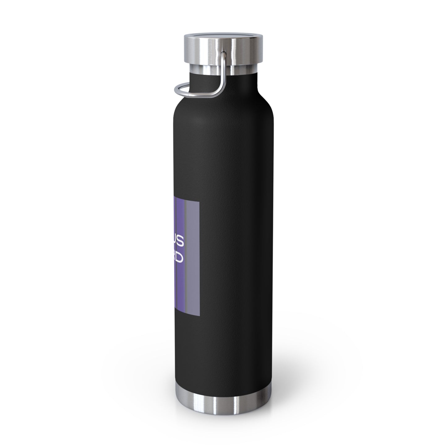 Vacuum Insulated Bottle, 22oz