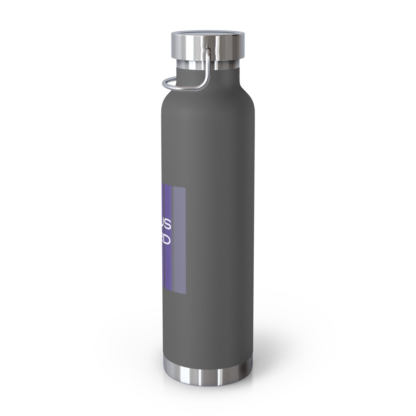 Vacuum Insulated Bottle, 22oz