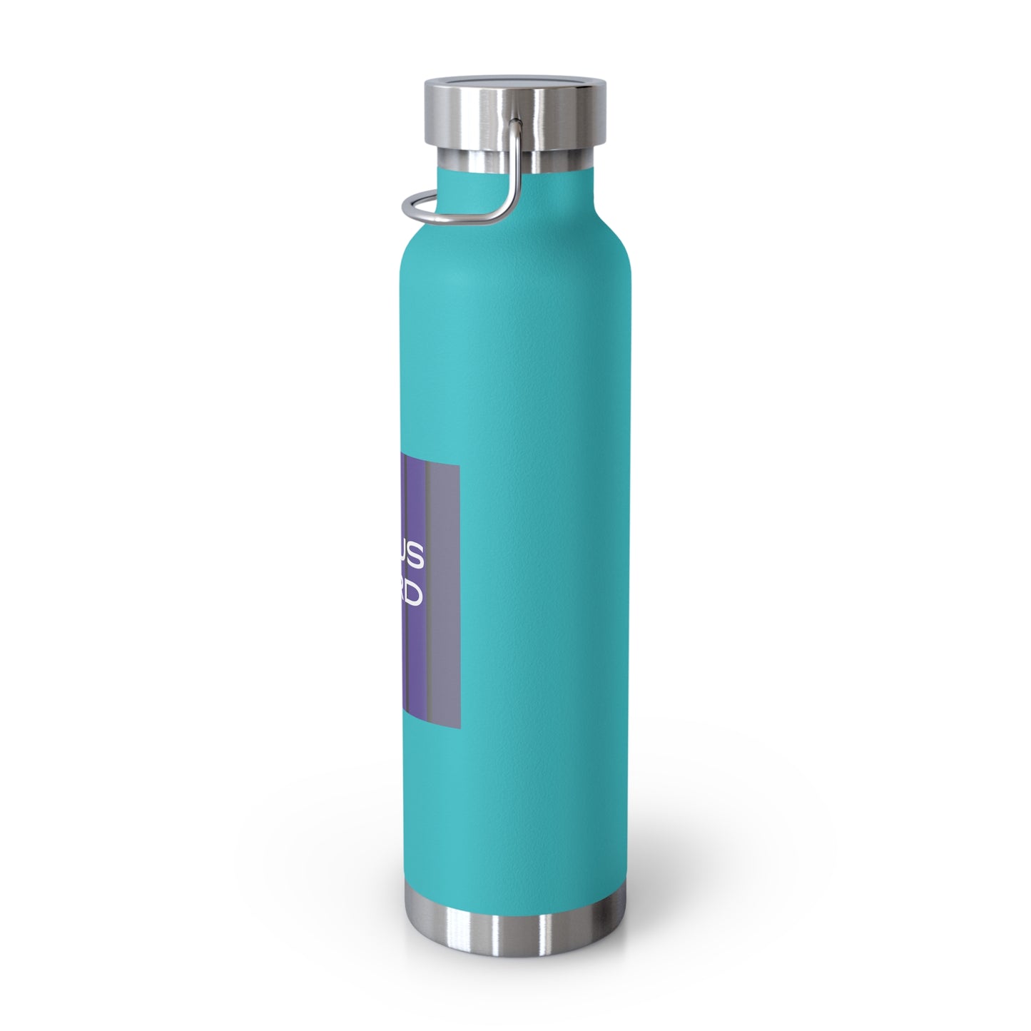 Vacuum Insulated Bottle, 22oz